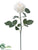 Snowed Cottage Rose Spray - White - Pack of 12