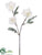 Snowed Helleborus Spray - White - Pack of 12