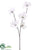 Snowed Dogwood Spray - White - Pack of 12