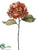 Hydrangea Spray - Champagne - Pack of 12