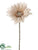 Gerbera Daisy Spray - Champagne - Pack of 36