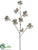 Dogwood Spray - Green - Pack of 6