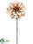 Dahlia Spray - Champagne - Pack of 12