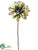 Dahlia Spray - Green - Pack of 12