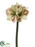 Silk Plants Direct Amaryllis Spray - Green Red - Pack of 6