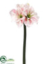 Silk Plants Direct Amaryllis Spray - White Burgundy - Pack of 6