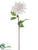 Dahlia Spray - White - Pack of 12