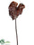 Lacquer Anthurium Spray - Coffee - Pack of 6