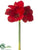 Amaryllis Spray - Red - Pack of 12