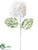 Hydrangea Spray - White Snow - Pack of 12