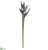 Hawaiian Heliconia Spray - Silver Green - Pack of 6