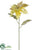 Poinsettia Spray - Gold - Pack of 12