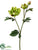 Rose Spray - Green - Pack of 12