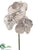 Vanda Orchid Spray - Gold Tiffany - Pack of 6