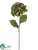 Hydrangea Spray - Green - Pack of 12