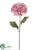 Hydrangea Spray - Pink - Pack of 12