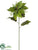 Poinsettia Spray - Green - Pack of 12