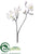 Magnolia Spray - White Snow - Pack of 12