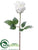 Rose Spray - White Snow - Pack of 24