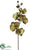 Glitter Phalaenopsis Orchid Spray - Green Brown - Pack of 12