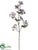 Dogwood Spray - Gray - Pack of 12