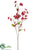 Mini Dogwood Spray - Red - Pack of 12