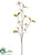 Dogwood Spray - Ivory - Pack of 12