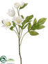 Silk Plants Direct Helleborus Spray - White - Pack of 12