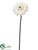 Velvet Mini Gerbera Daisy Spray - White - Pack of 12