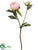 Ice Peony Spray - Peach - Pack of 24