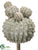 Barrel Cactus Pick - Green Gray - Pack of 4