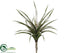 Silk Plants Direct Iced, Snowed Tillandsia Pick - Green - Pack of 8