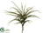 Iced, Snowed Tillandsia Pick - Green - Pack of 4