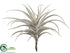 Silk Plants Direct Tillandsia Pick - Green Gray - Pack of 4