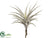 Flocked Tillandsia Pick - Green Gray - Pack of 8