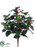 Outdoor Holly Bush - Green Variegated - Pack of 6