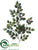 Mini Holly Spray - Green Variegated - Pack of 12