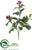 Holly Spray - Green Variegated - Pack of 12