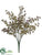 Eucalyptus Seed Bush - Green Burgundy - Pack of 12