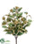 Holly Leaf Bush - Green Gold - Pack of 12