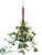 Mistletoe Bundle - Green White - Pack of 6