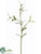 Mistletoe Spray - Green - Pack of 12