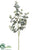 Eucalyptus Spray - Green Gray - Pack of 24