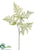 Asparagus Fern Spray - Green Ice - Pack of 12