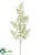 Asparagus Fern Spray - Green Ice - Pack of 12