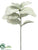 Lamb's Ear Spray - Green Gray - Pack of 12