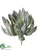 Echeveria Pick - Green Glittered - Pack of 12