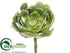 Silk Plants Direct Echeveria Pick - Green Ice - Pack of 12