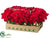 Poinsettia Bush w/Gold Wrapped Paper w/Ready To Display Case - Red Red - Pack of 12