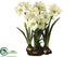 Silk Plants Direct Amaryllis - Green - Pack of 1